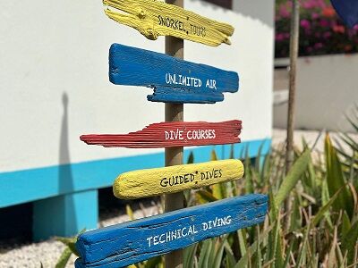 temp drifwood sign